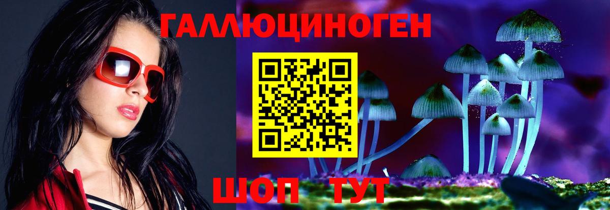 Псилоцибиновые грибы GOLDEN TEACHER Тара