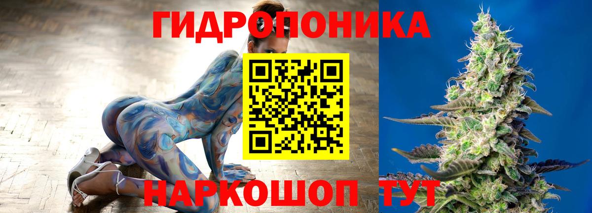 Шишки марихуана конопля  Канабис планчик  Вход с VPN  Шишки марихуана LSD WEED  Тара 
